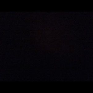 Meet your Posher, Bella